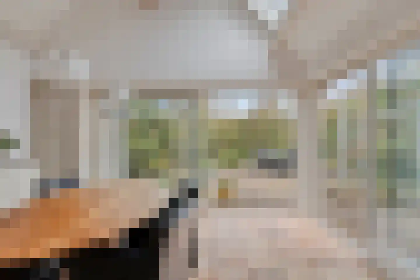 Hoefstraat 12 Heesch thumbnail 25