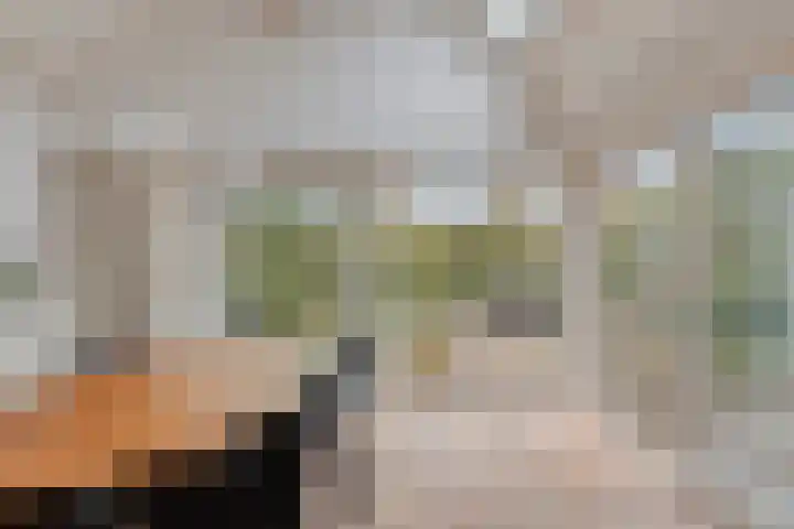 Hoefstraat 12 Heesch thumbnail 25