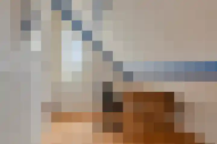 Hoefstraat 12 Heesch thumbnail 35