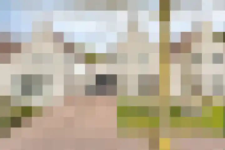 Hoefstraat 12 Heesch thumbnail 4