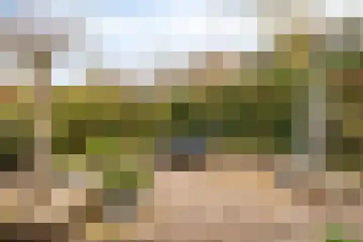 Hoefstraat 12 Heesch thumbnail 43