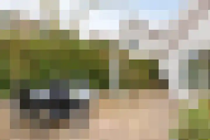 Hoefstraat 12 Heesch thumbnail 44