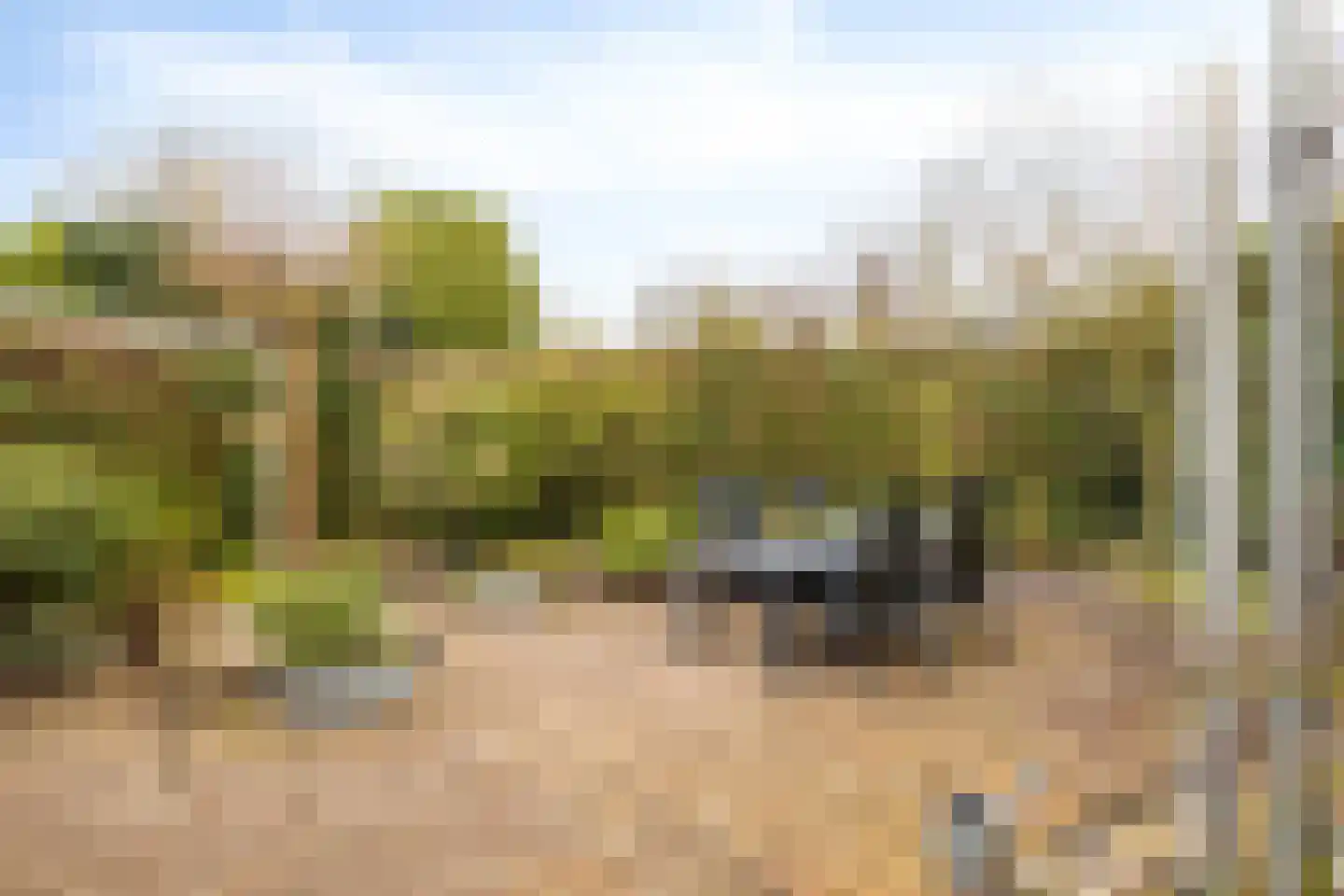 Hoefstraat 12 Heesch thumbnail 45