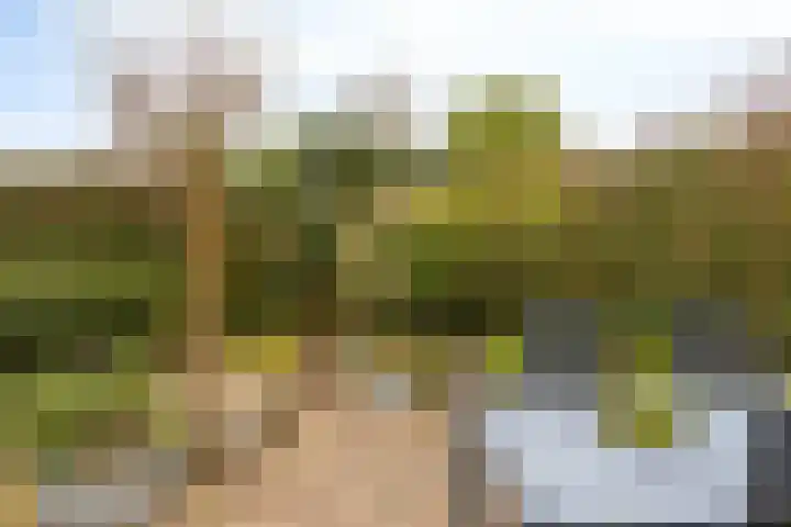 Hoefstraat 12 Heesch thumbnail 46