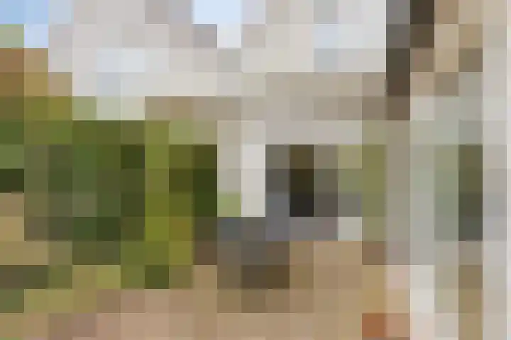 Hoefstraat 12 Heesch thumbnail 47