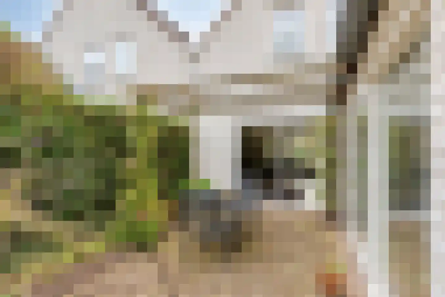 Hoefstraat 12 Heesch thumbnail 47