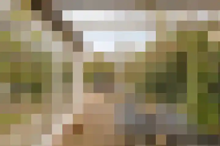 Hoefstraat 12 Heesch thumbnail 48