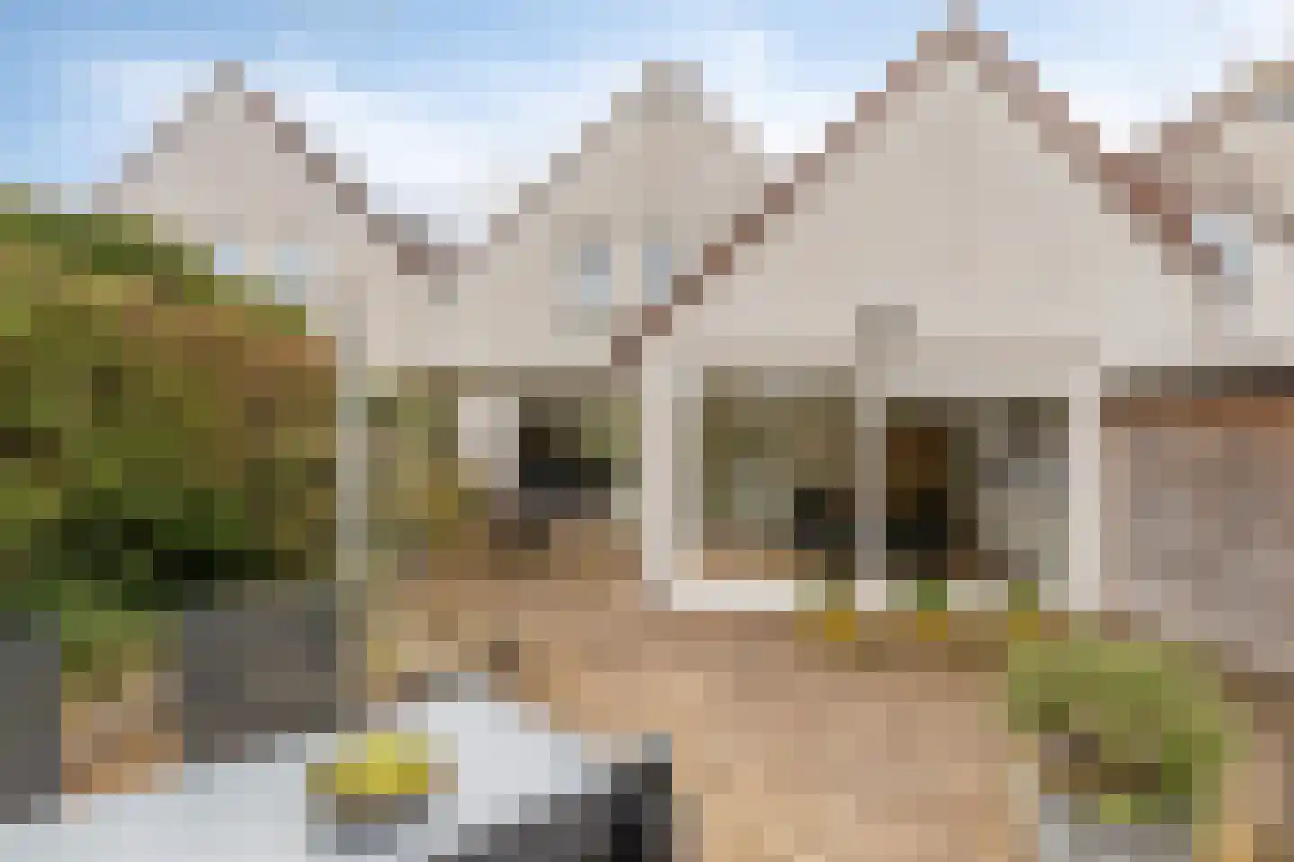 Hoefstraat 12 Heesch thumbnail 49