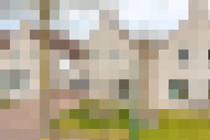 Hoefstraat 12 Heesch thumbnail 5