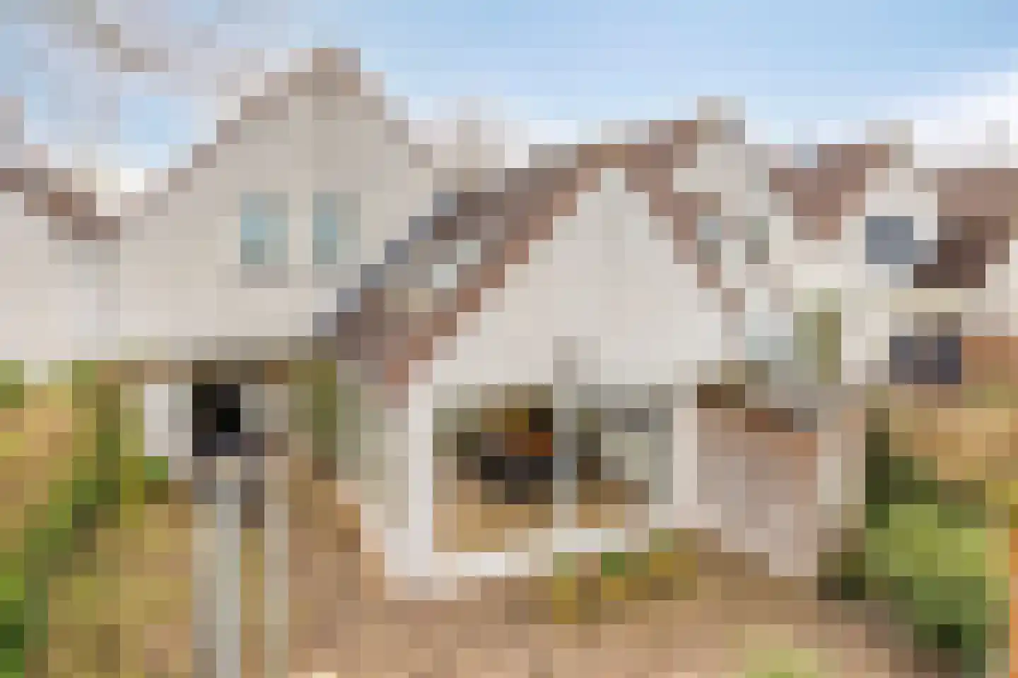 Hoefstraat 12 Heesch thumbnail 50