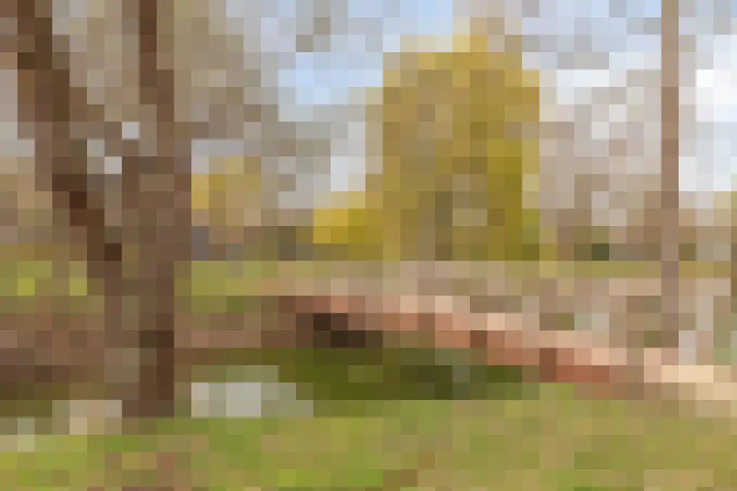 Hoefstraat 12 Heesch thumbnail 56