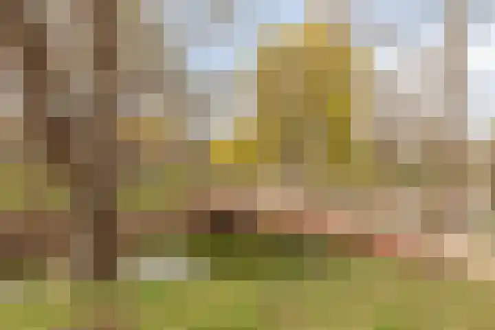 Hoefstraat 12 Heesch thumbnail 56