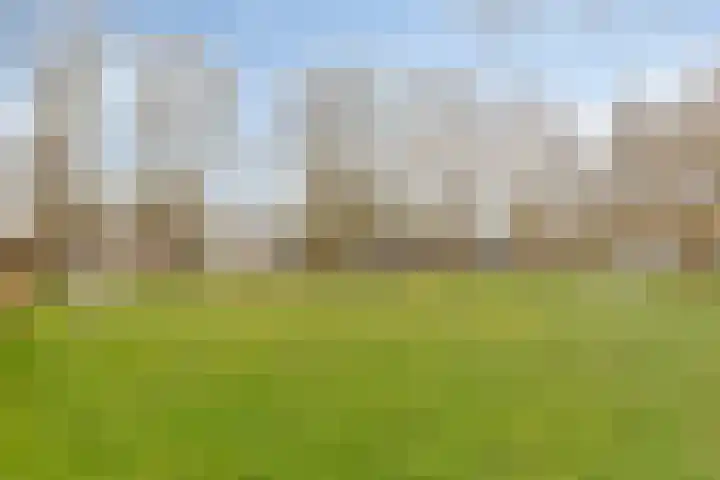 Hoefstraat 12 Heesch thumbnail 58