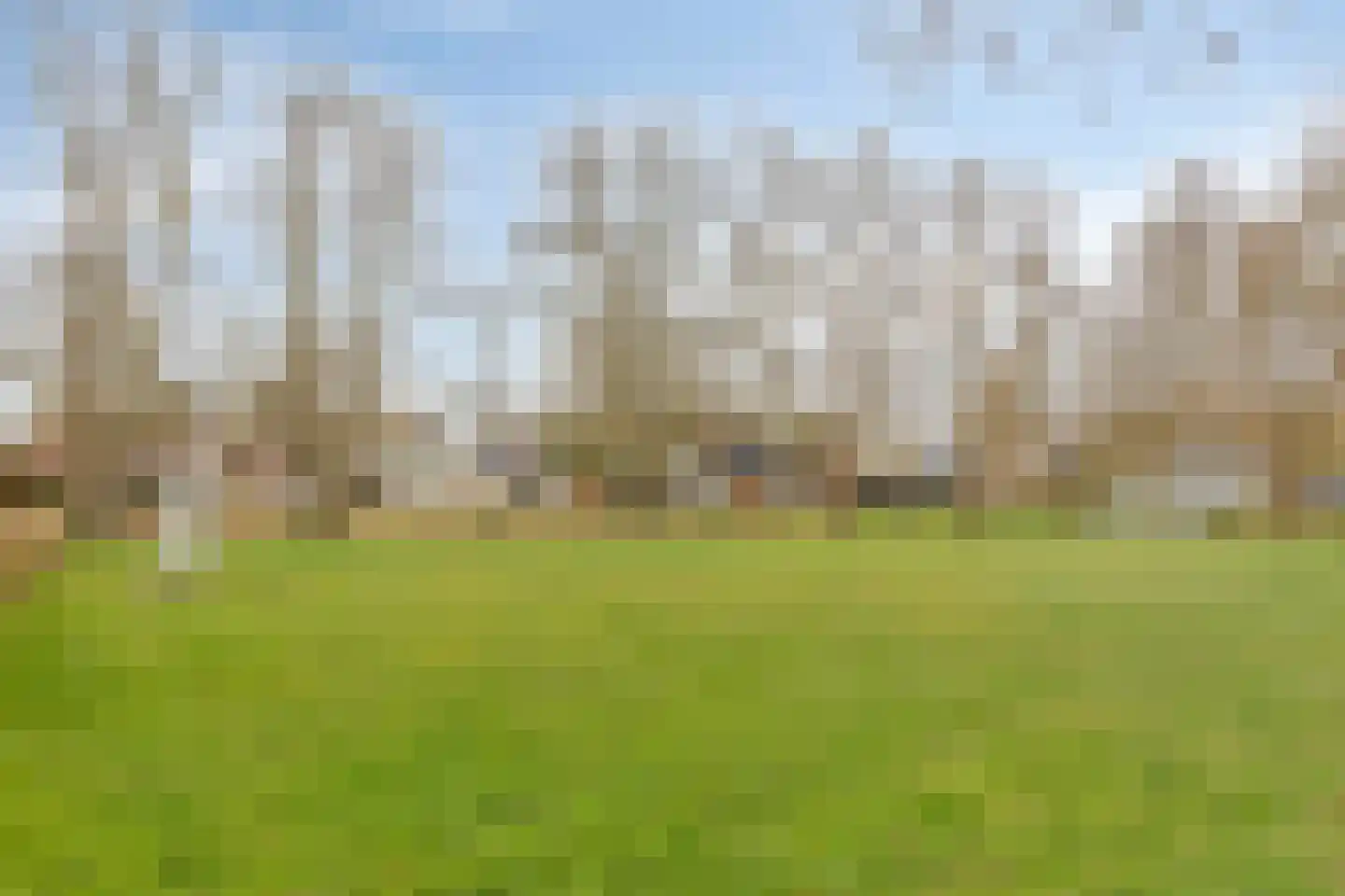 Hoefstraat 12 Heesch thumbnail 58