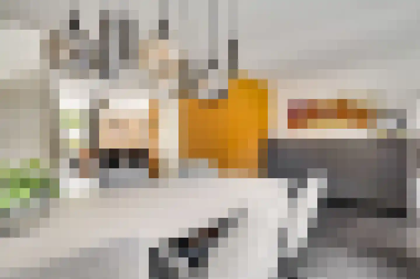 Hoefstraat 12 Horn thumbnail 12