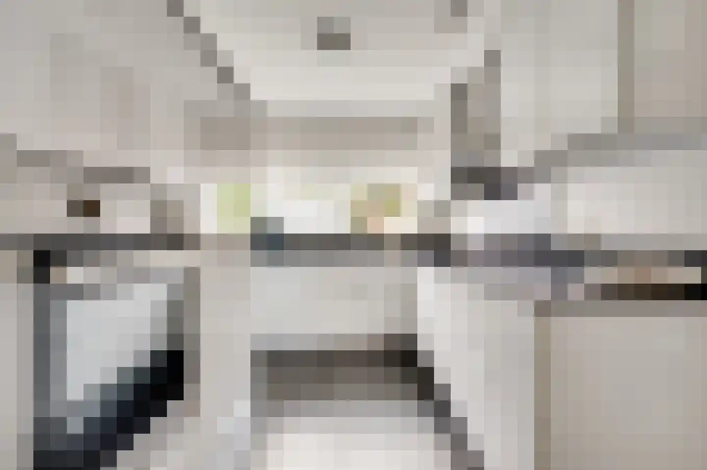 Hoefstraat 12 Horn thumbnail 14