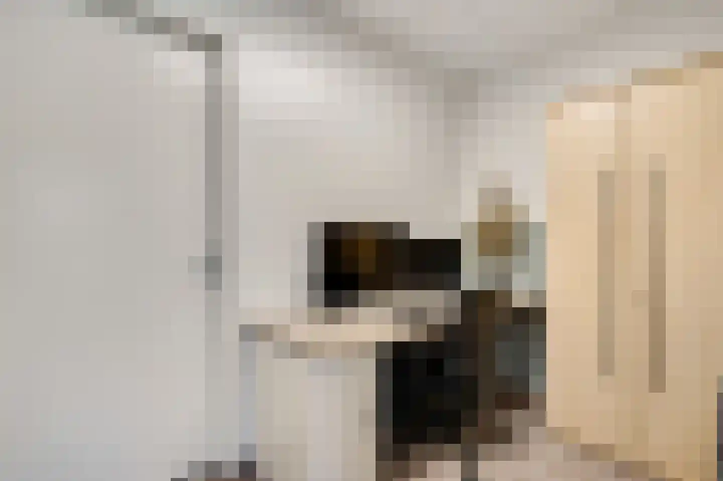 Hoefstraat 12 Horn thumbnail 16