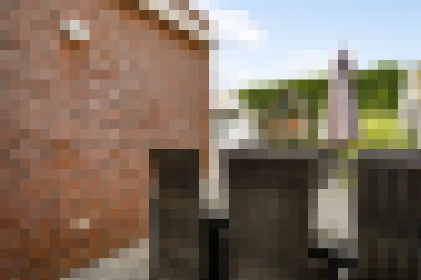 Hoefstraat 12 Horn thumbnail 20