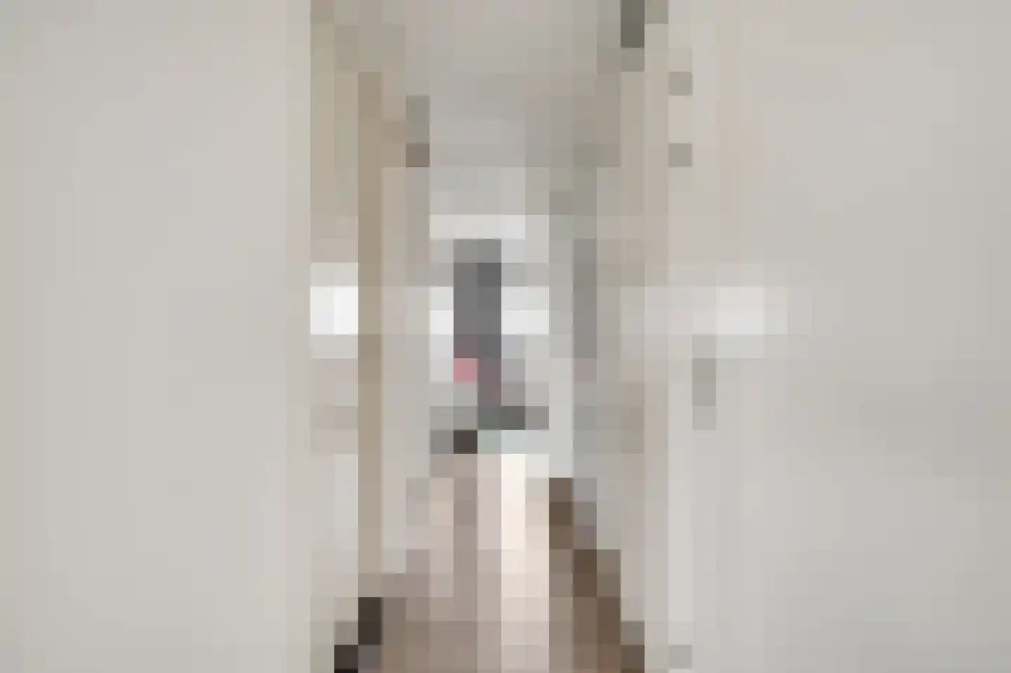 Hoefstraat 12 Horn thumbnail 25