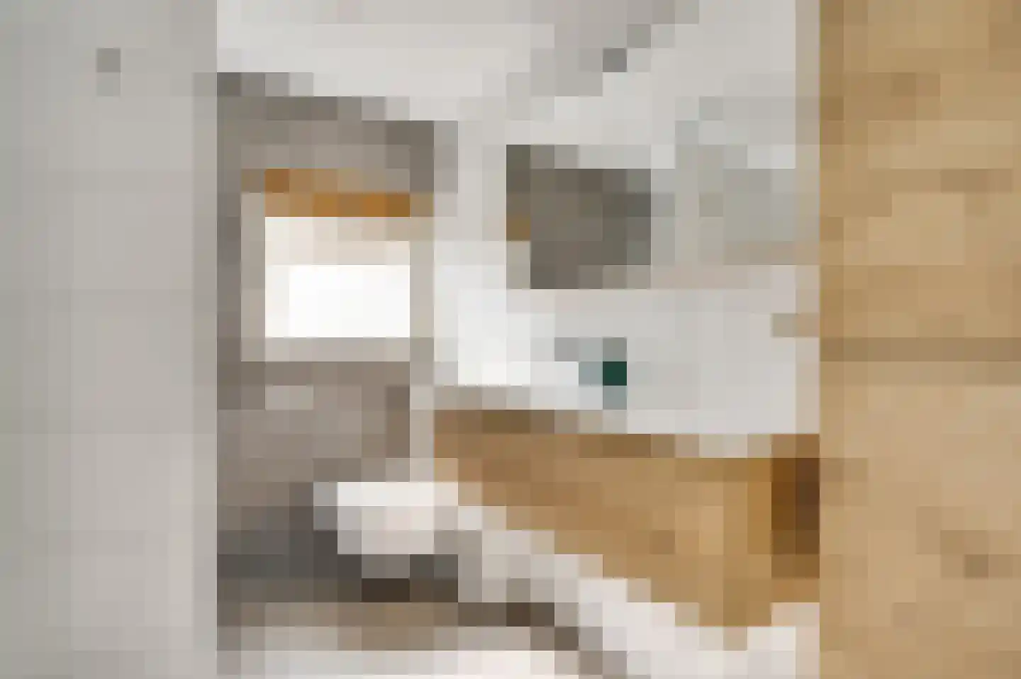 Hoefstraat 12 Horn thumbnail 31