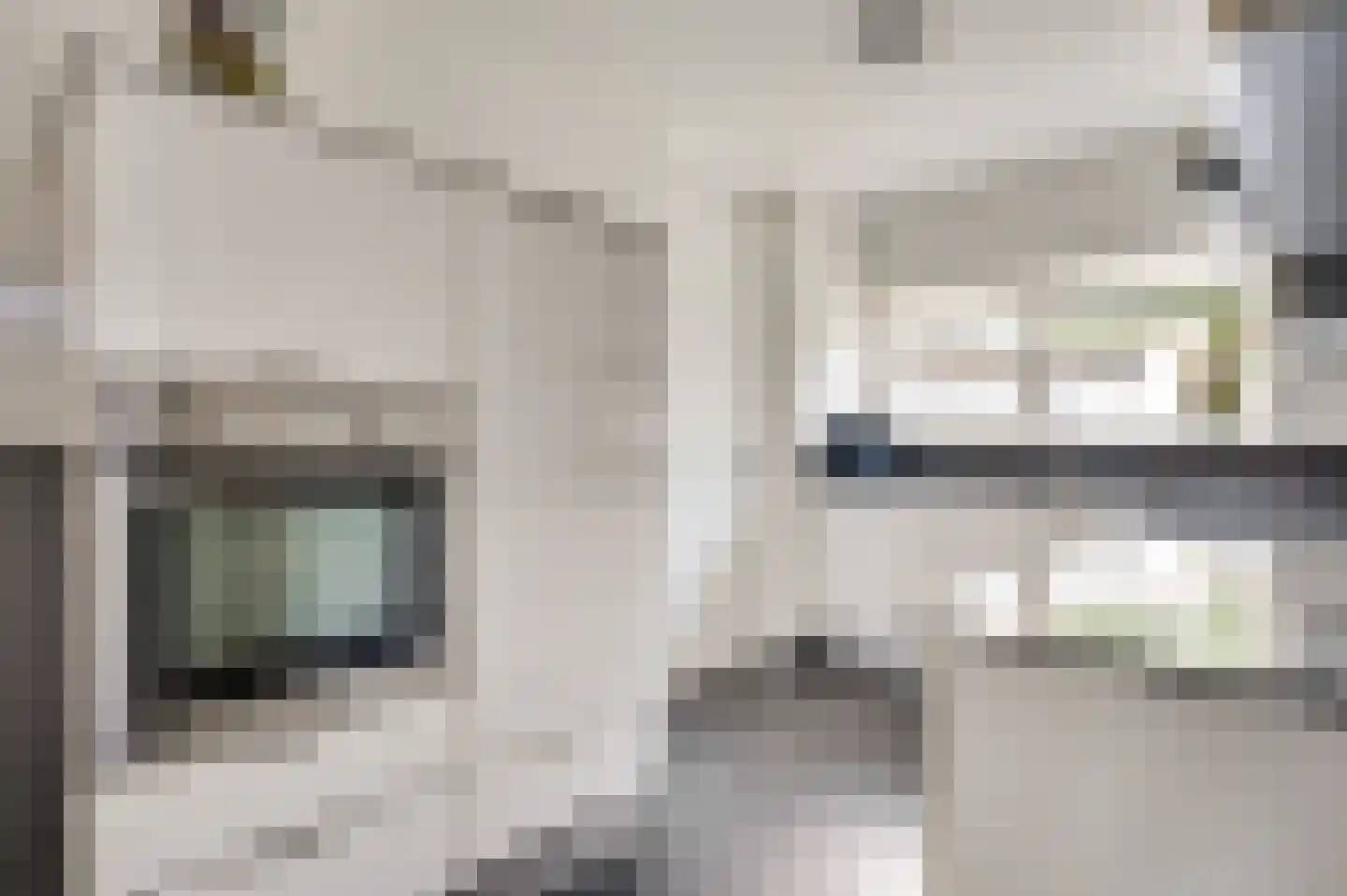 Hoefstraat 12 Horn thumbnail 4
