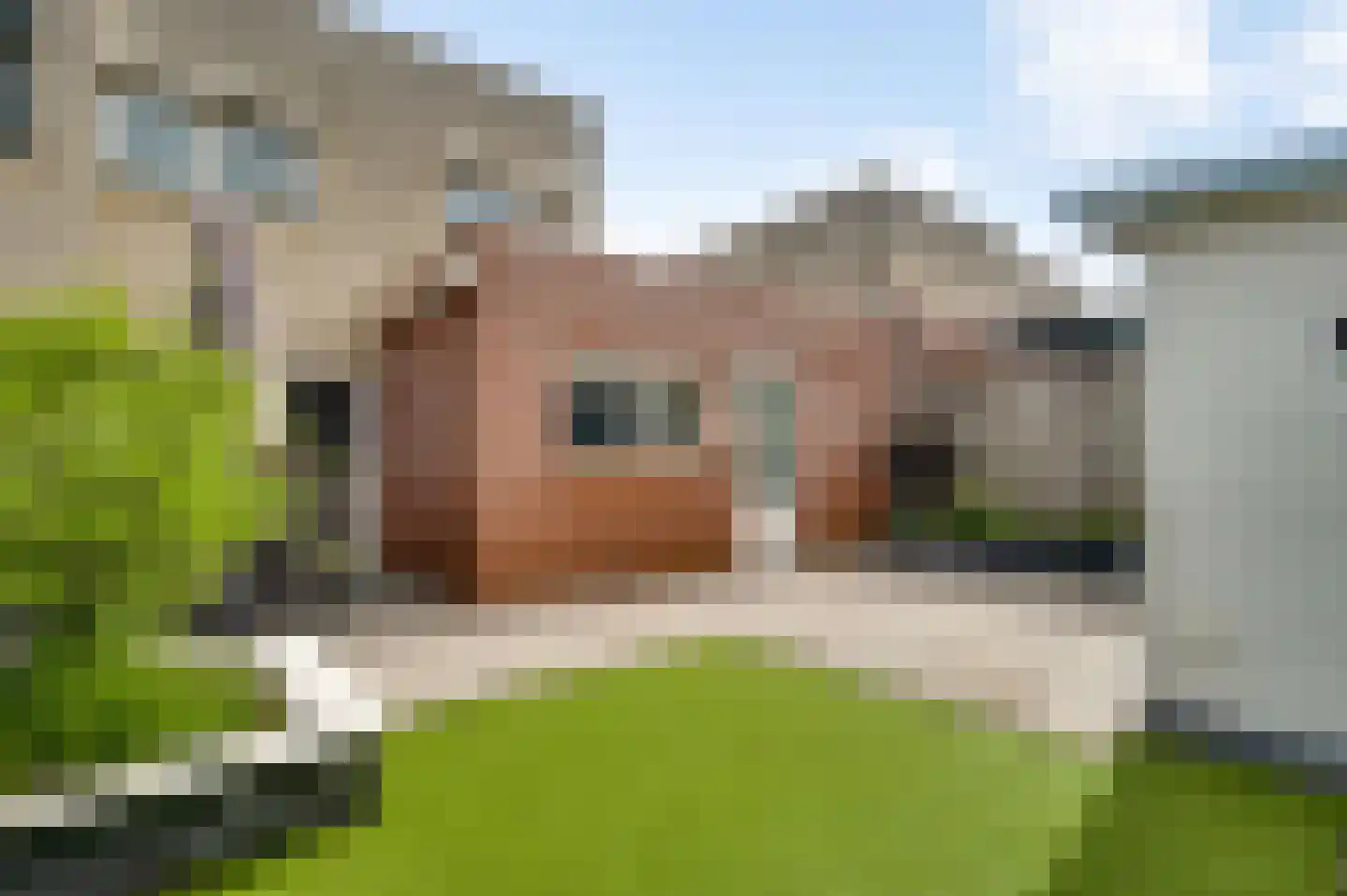 Hoefstraat 12 Horn thumbnail 6