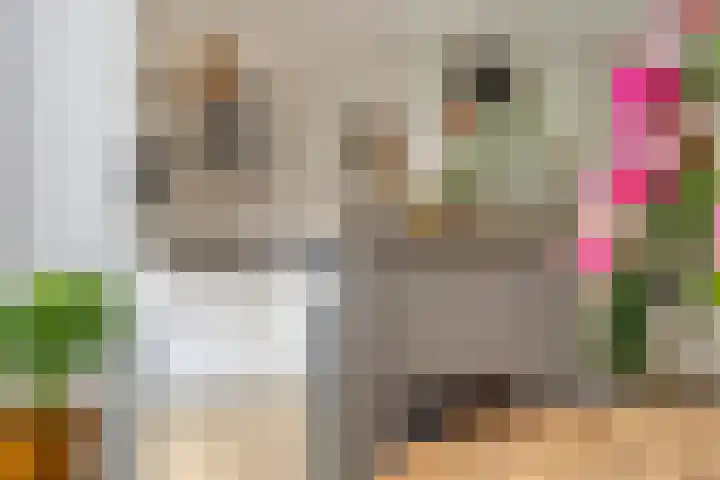 Hoefstraat 13 Oss thumbnail 14