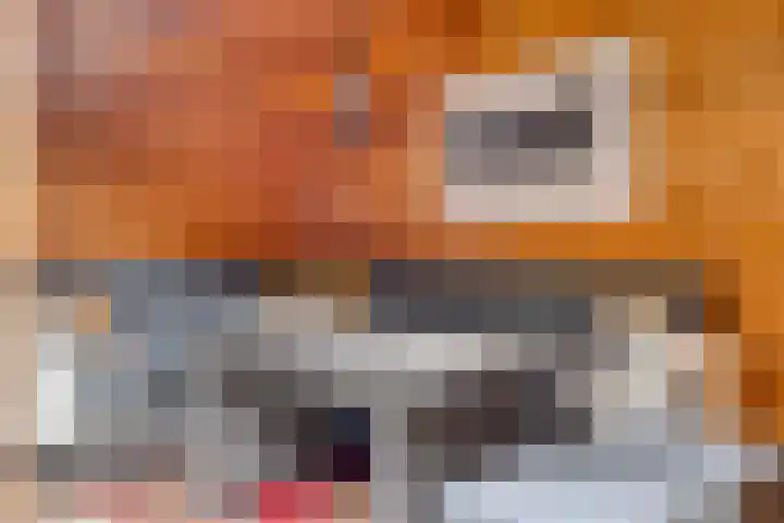Hoefstraat 13 Oss thumbnail 19