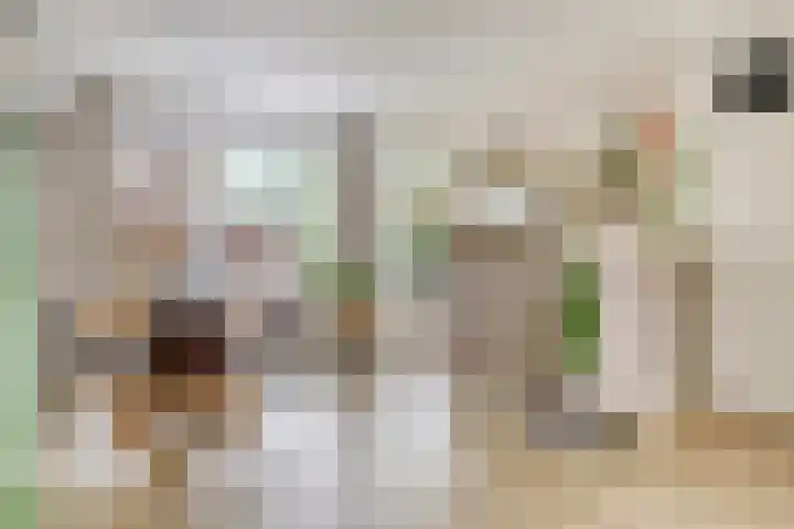 Hoefstraat 13 Oss foto 2