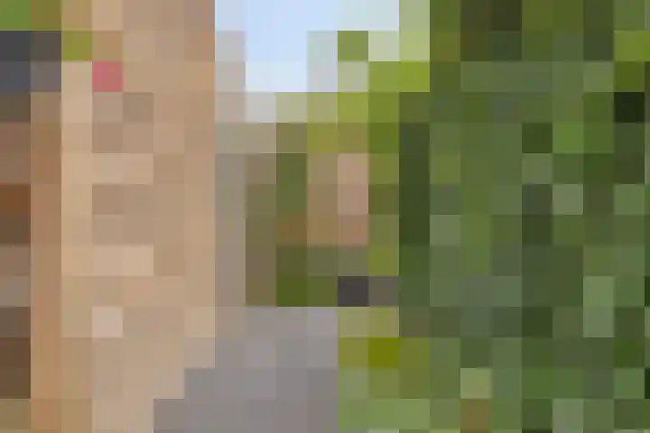 Hoefstraat 13 Oss thumbnail 20