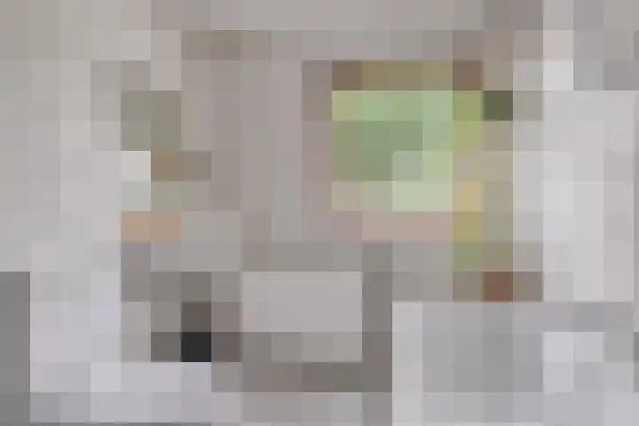 Hoefstraat 13 Oss thumbnail 25