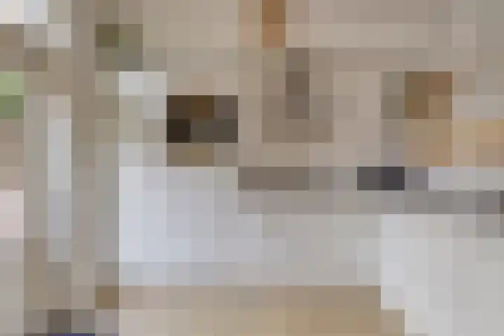 Hoefstraat 13 Oss foto 3