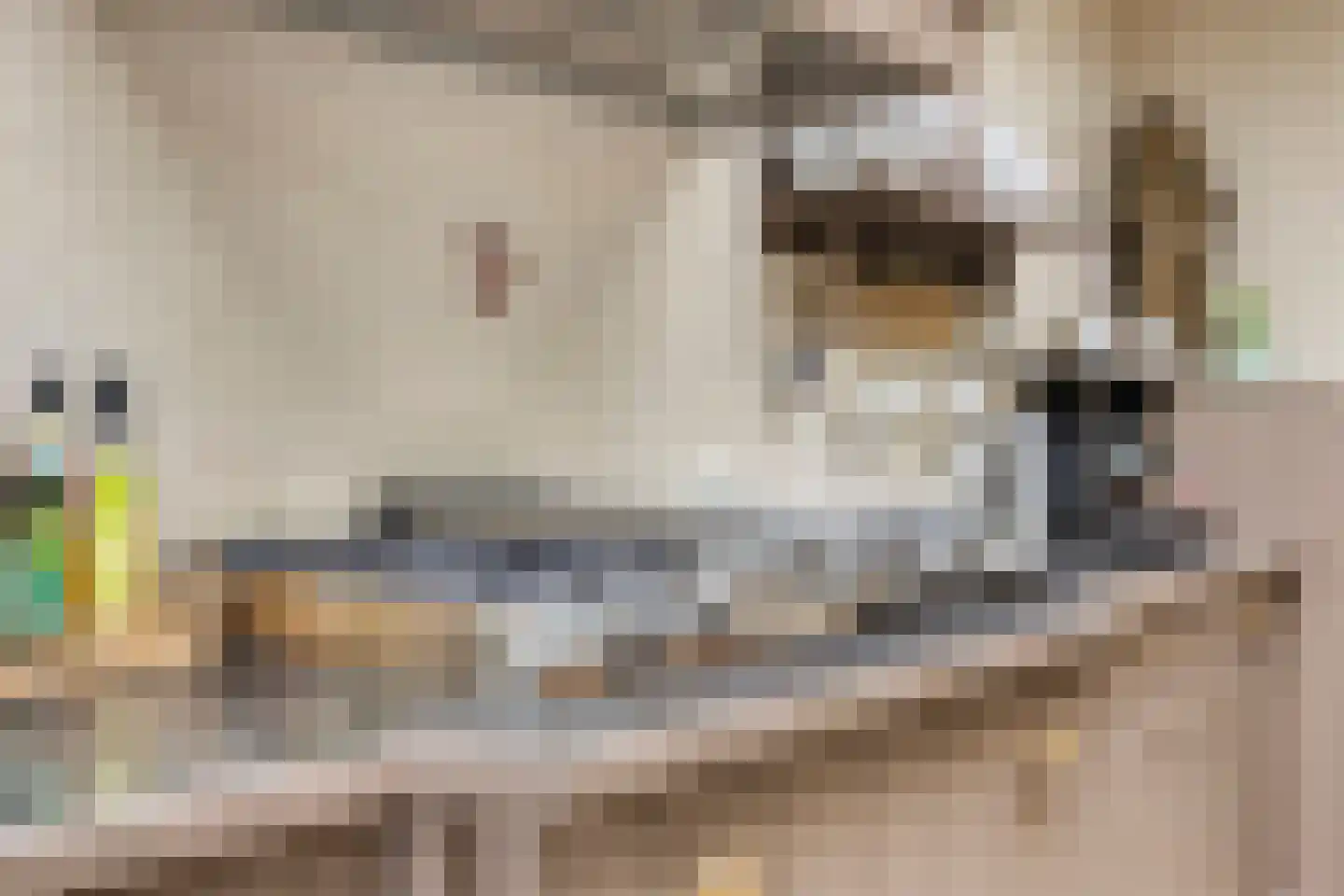 Hoefstraat 152 Tilburg thumbnail 22