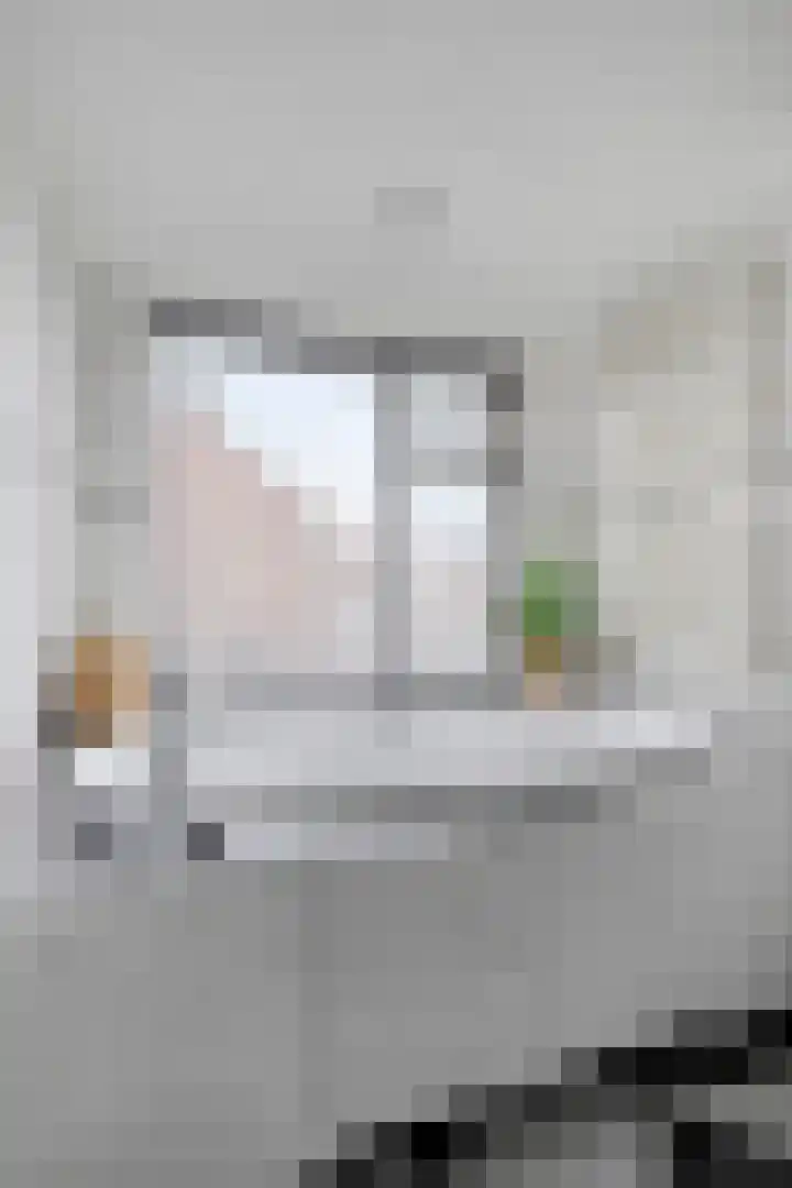 Hoefstraat 174 Tilburg thumbnail 27