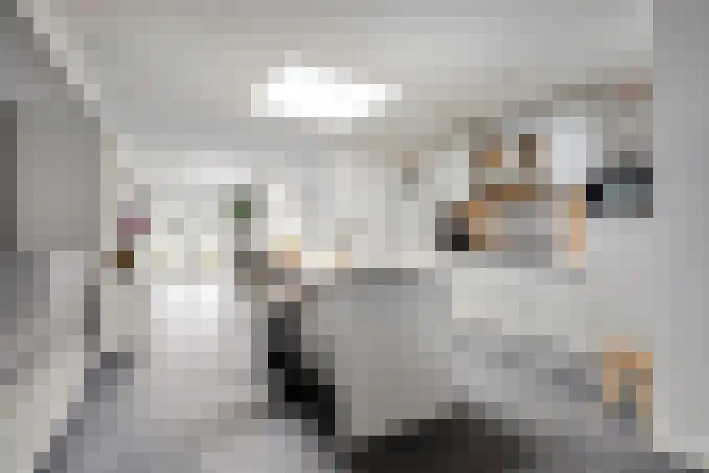 Hoefstraat 188 Tilburg thumbnail 7