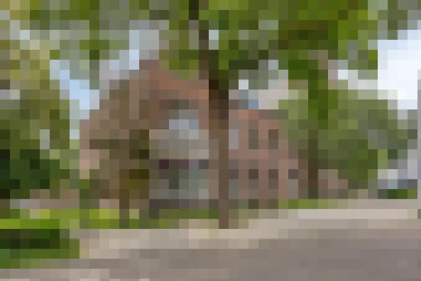 Hoefstraat 201 01 Tilburg thumbnail 30