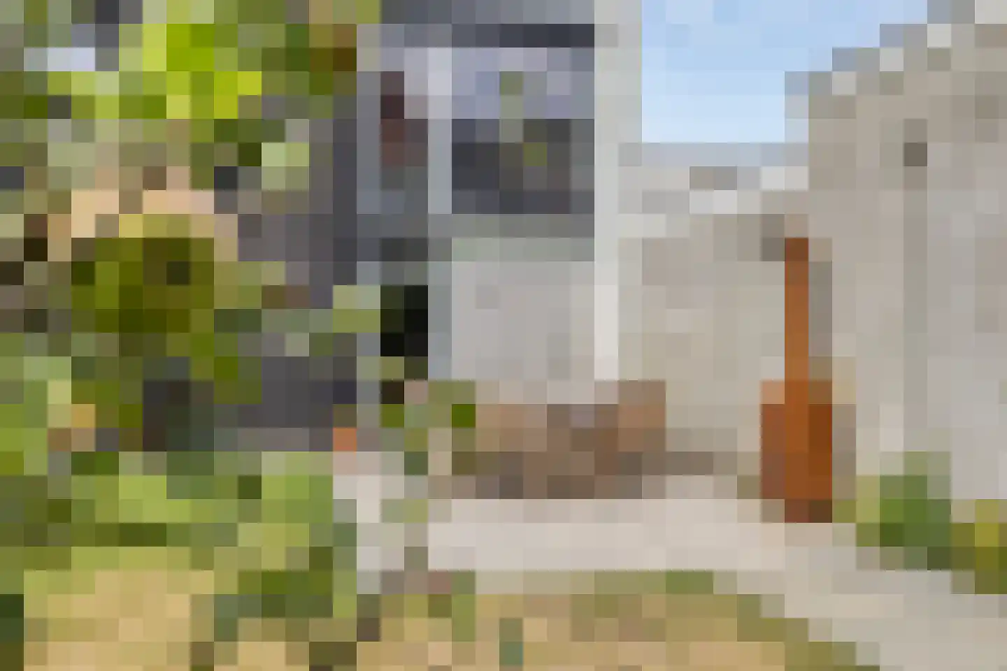 Hoefstraat 225 Tilburg thumbnail 55
