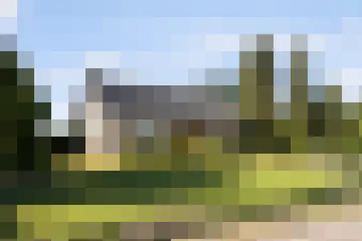 Hoefstraat 25 Zegge thumbnail 35