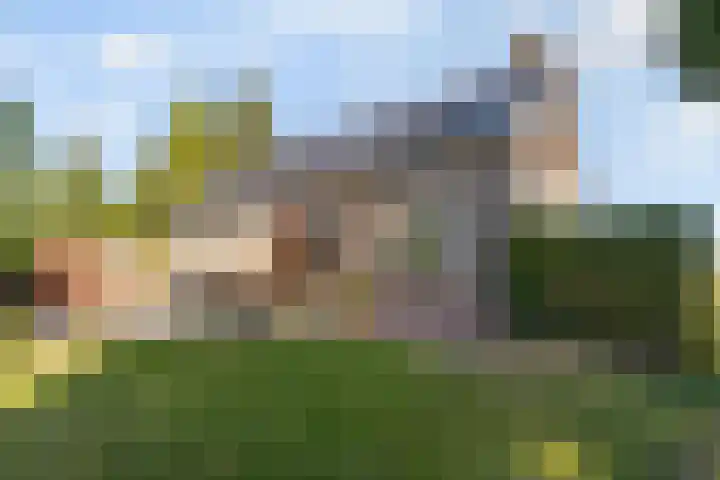Hoefstraat 25 Zegge thumbnail 38
