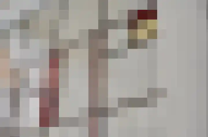 Hoefstraat 252 Tilburg thumbnail 17