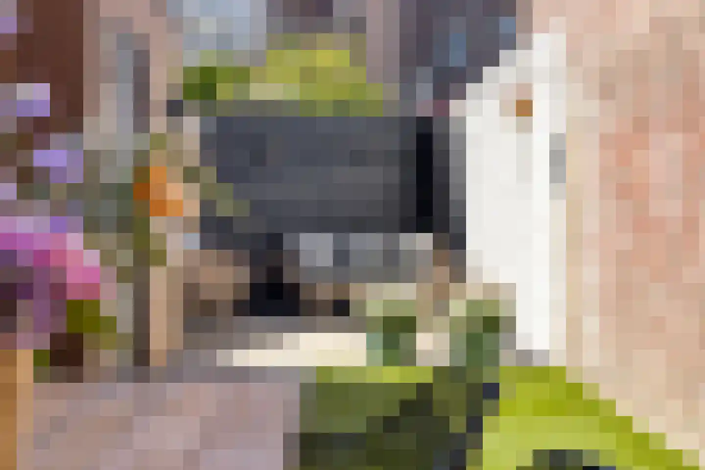 Hoefstraat 267 Tilburg thumbnail 45