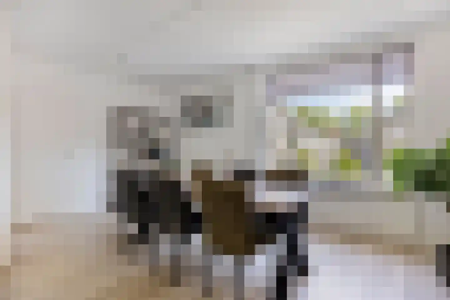 Hoefstraat 29 Oss thumbnail 15