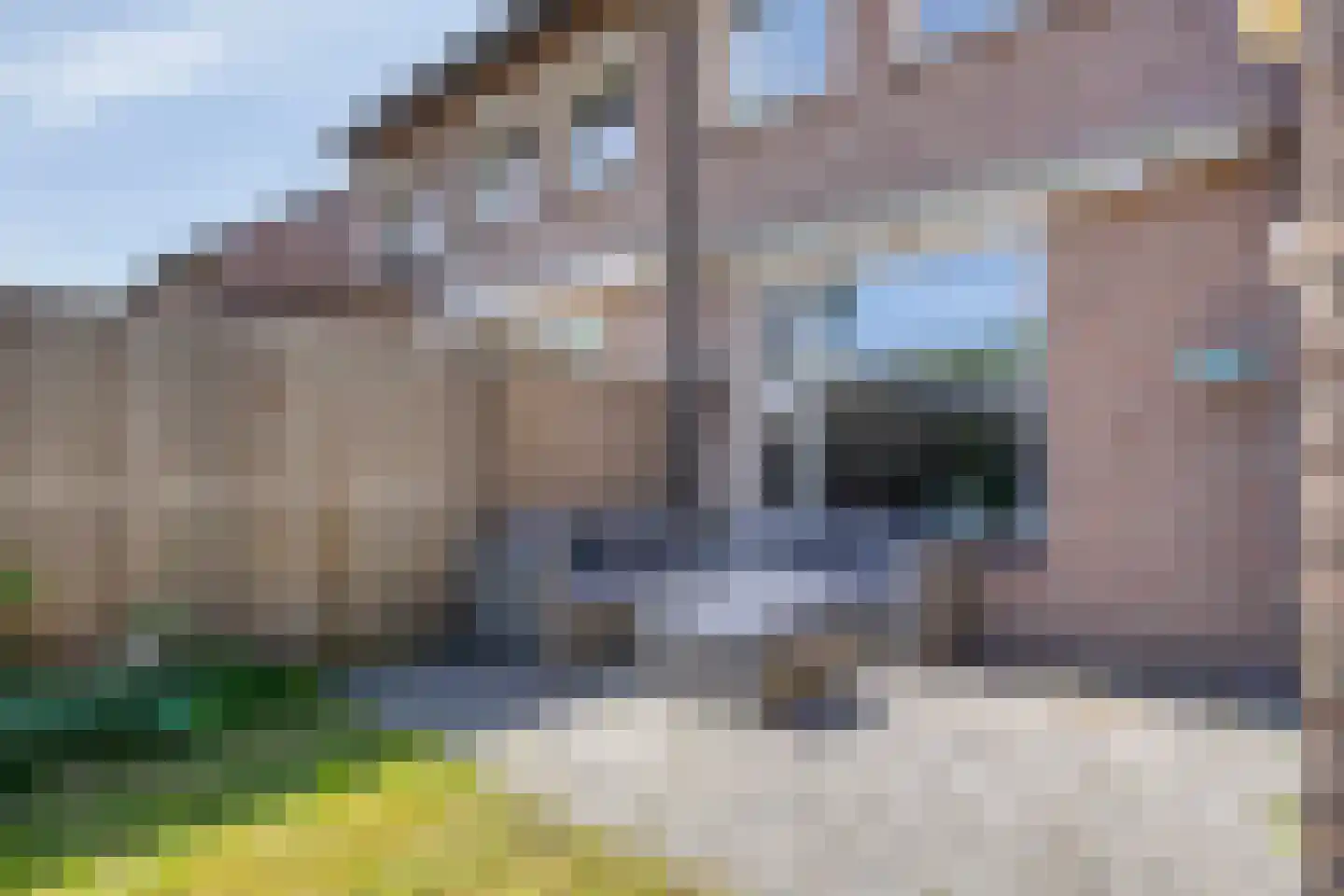 Hoefstraat 29 Oss thumbnail 25