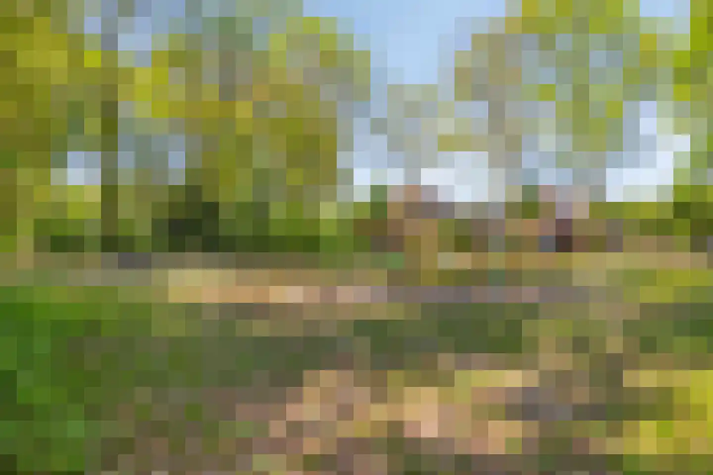 Hoefstraat 29 Oss thumbnail 47