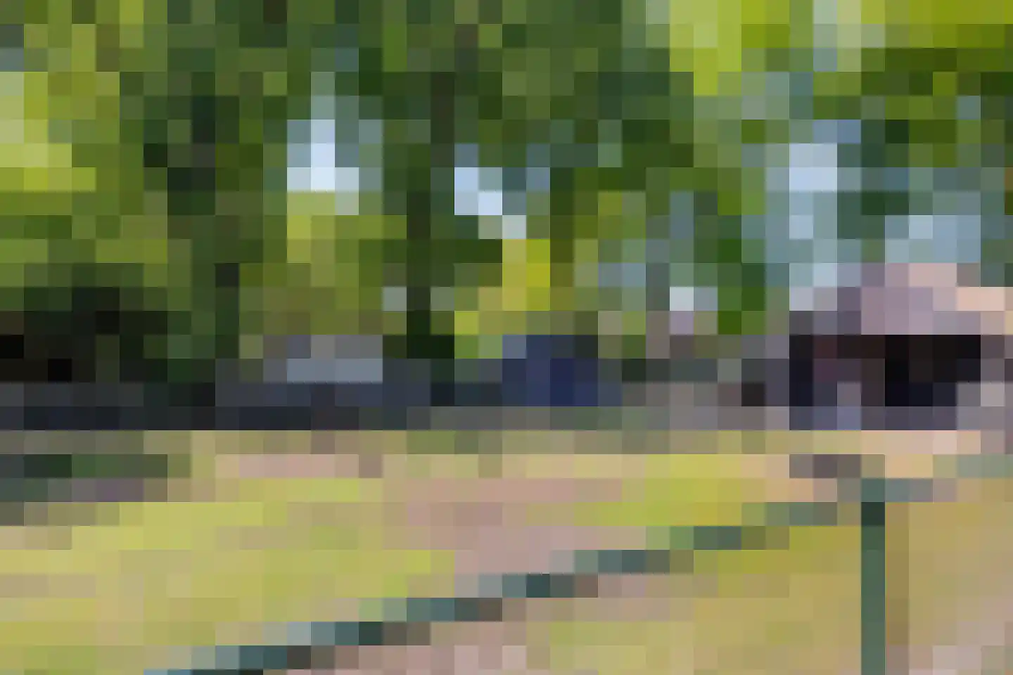 Hoefstraat 29 Oss thumbnail 48