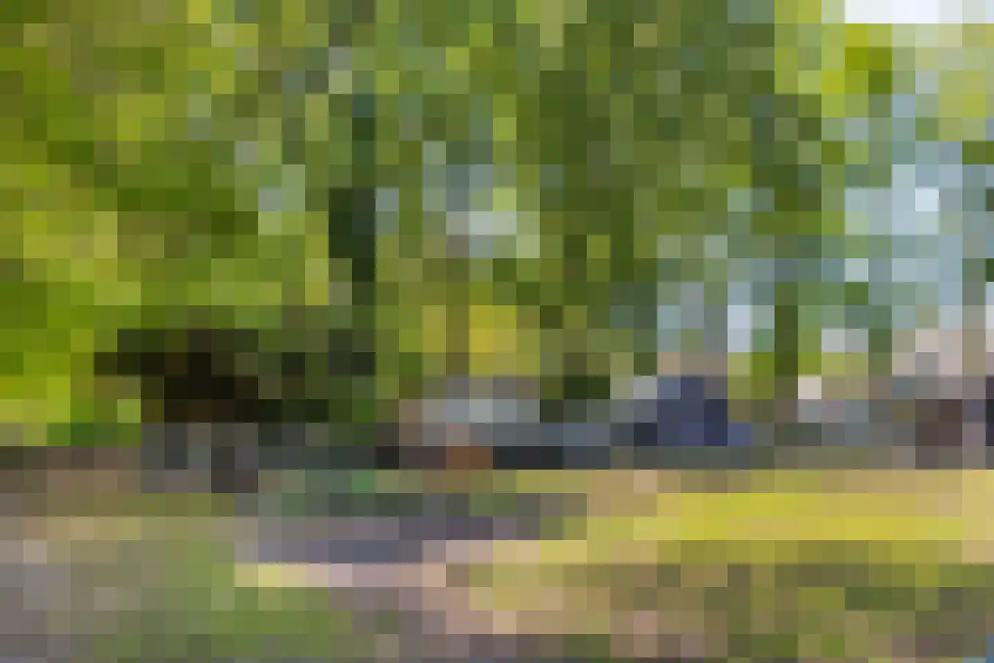 Hoefstraat 29 Oss thumbnail 50