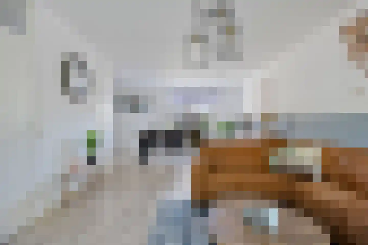 Hoefstraat 29 Oss thumbnail 8