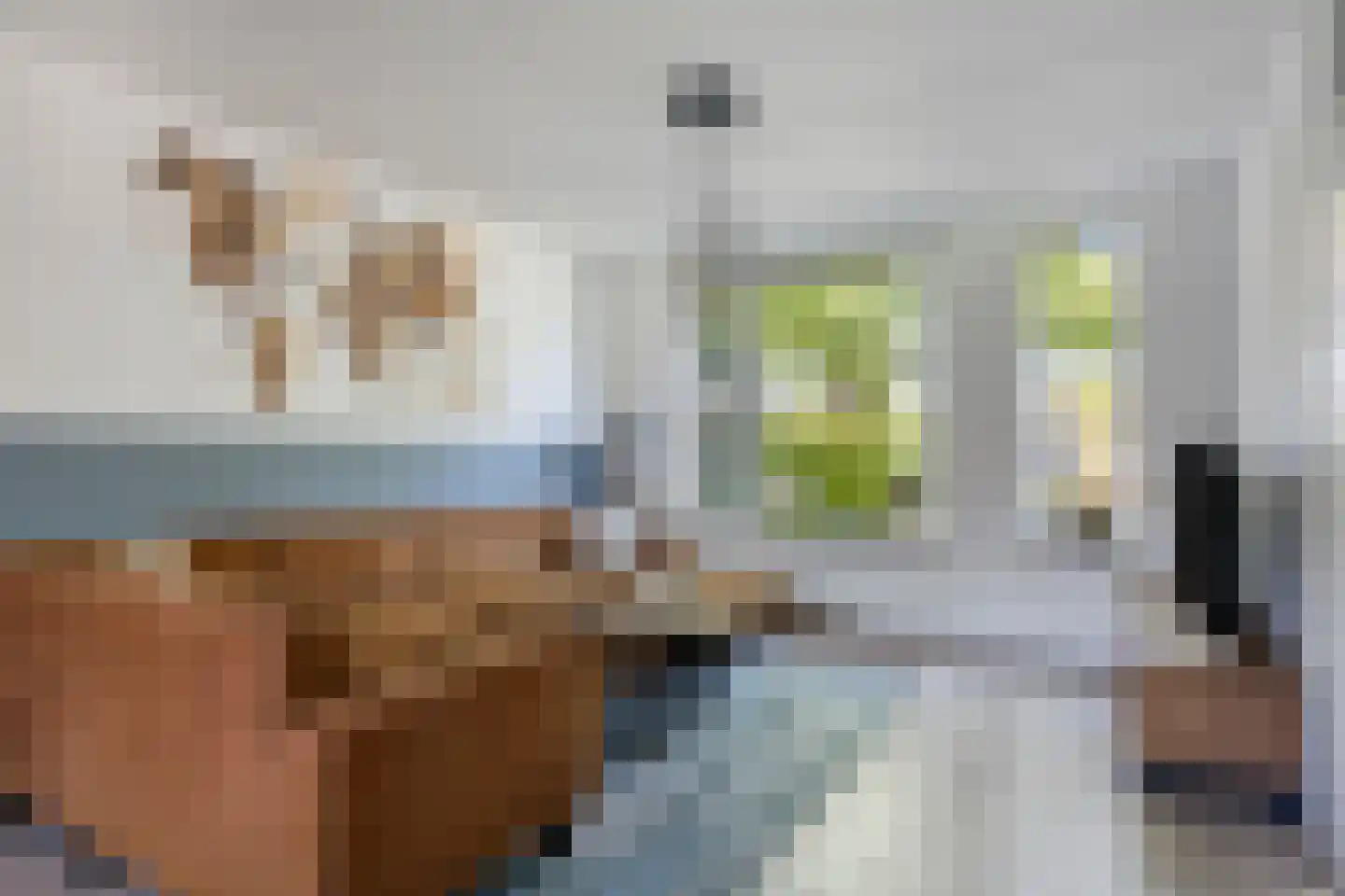Hoefstraat 29 Oss thumbnail 9