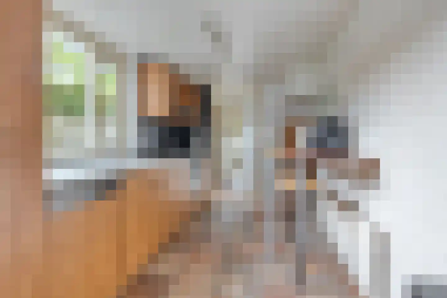 Hoefstraat 294 Tilburg thumbnail 20