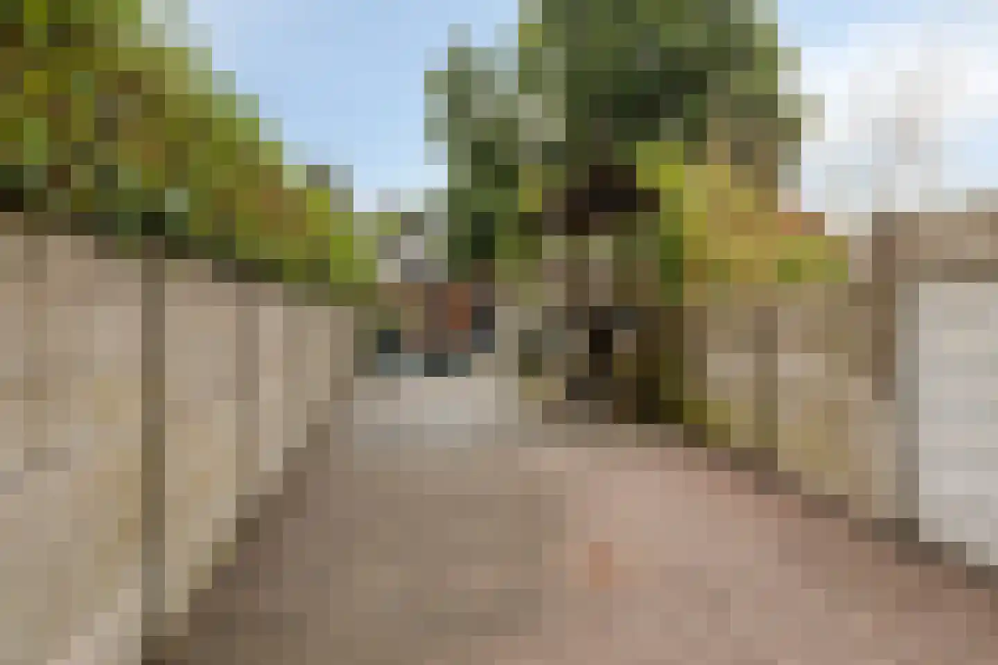 Hoefstraat 294 Tilburg thumbnail 34